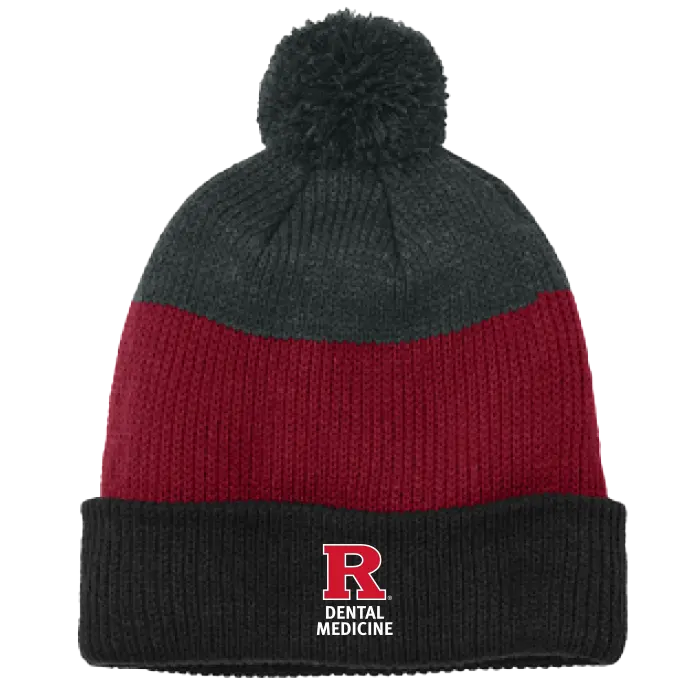 Cozy Striped Pom Beanie Dental