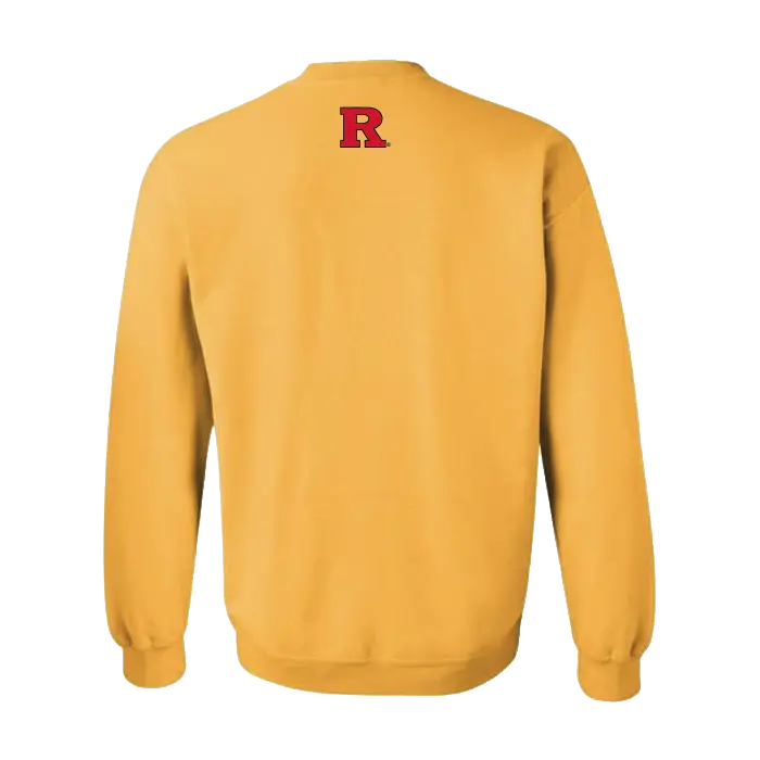 Engineers in Action Rutgers Engineers in Action