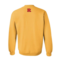 Engineers in Action Rutgers Engineers in Action