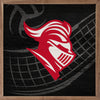 Black Volleyball Court  - Rutgers State University Kendrick Home