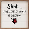Shhh Little  - Rutgers State University Kendrick Home