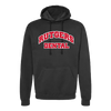 Dental Applique Pullover Hoody Dental