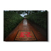 Rutgers Scarlet Knights - Scarlet Walk