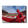 Rutgers Scarlet Knights - Scarlet Knight End Zone