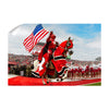 Rutgers Scarlet Knights - The Scarlet Knight