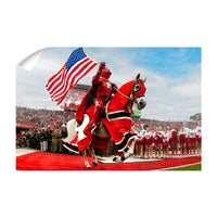 Rutgers Scarlet Knights - The Scarlet Knight