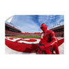 Rutgers Scarlet Knights - Scarlet Knight End Zone