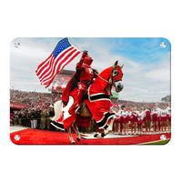 Rutgers Scarlet Knights - The Scarlet Knight
