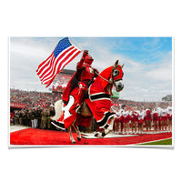 Rutgers Scarlet Knights - The Scarlet Knight