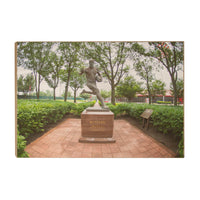 Rutgers Scarlet Knights - Birthplace Statue