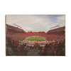 Rutgers Scarlet Knights - Rutgers SHI Stadium