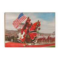 Rutgers Scarlet Knights - The Scarlet Knight