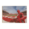Rutgers Scarlet Knights - Scarlet Knight End Zone