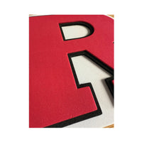 Rutgers 3D Big Chain Foam Necklace Knight & Day Apparel