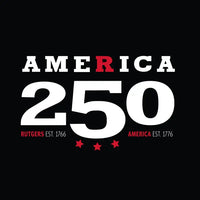 America 250 Unisex Midweight Hooded Sweatshirt USA 250 Collection