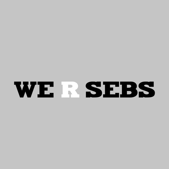 SEBS Unisex Fine Jersey T-Shirt
