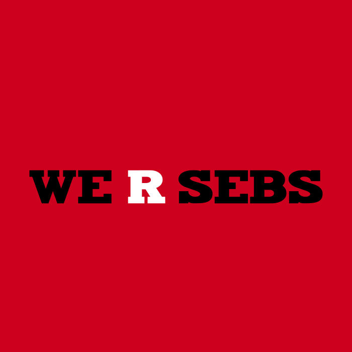 SEBS Unisex Fine Jersey T-Shirt